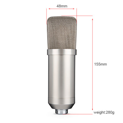 Large Diaphragm Condenser Microphone
