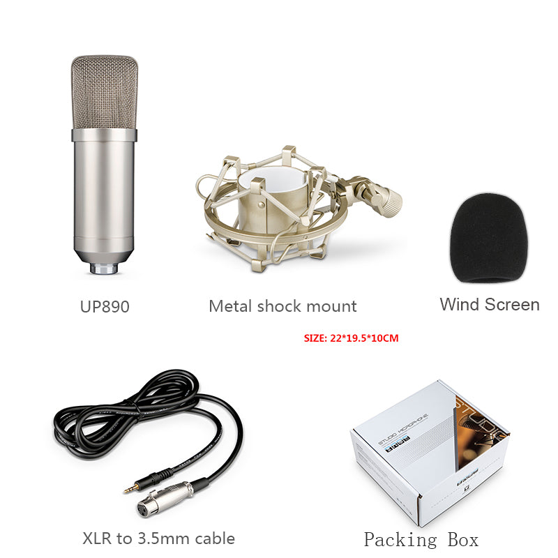 Large Diaphragm Condenser Microphone