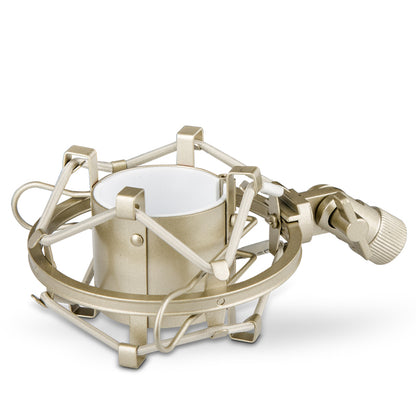 Large Diaphragm Condenser Microphone