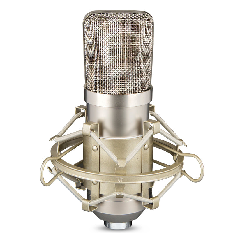 Large Diaphragm Condenser Microphone