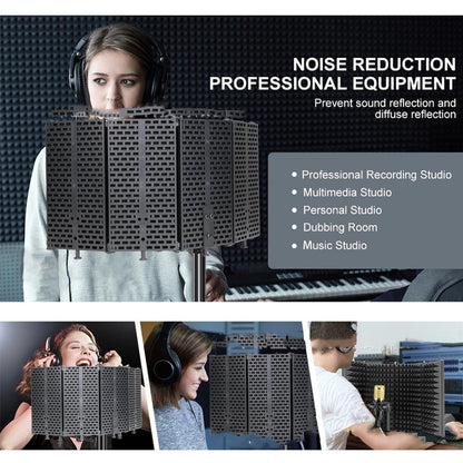 Acoustic Filter Microphone