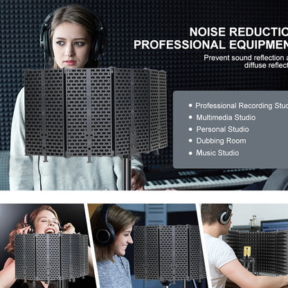 Acoustic Filter Microphone